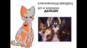 реакцыя на шипы котов воителей 1/?