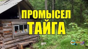 0856 - ПРОМЫСЕЛ  _ ТАЙГА _ ОХОТНИК НА СОБОЛЯ _ НАРЫВ  ПЯТОЙ ТОЧКИ 18 +