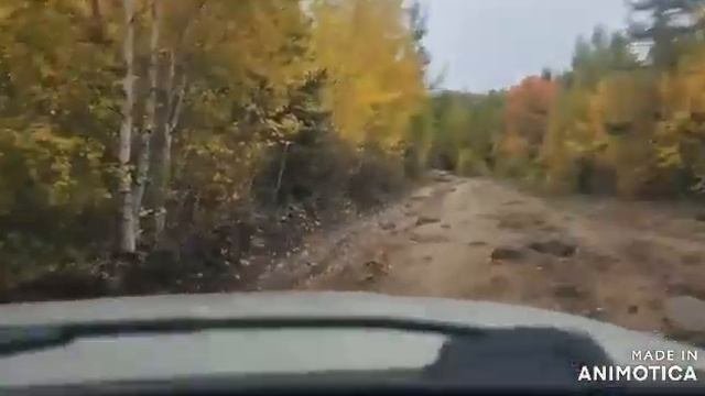 Дорога на Надежный