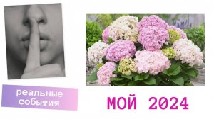 Мой 2024🌲🌺🎉