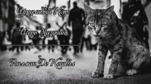 Уродливый Кот - Игорь Мазунин (читает Roilman De Koshvel)