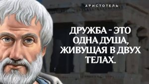 Цитаты Аристотеля, которые заставляют задуматься !!!