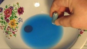 Опыт с монетой