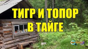 0918 - ТИГР НАПАЛ НА ЧЕЛОВЕКА _ ЖИЗНЬ В ТАЙГЕ
