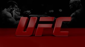 UFC - ЛУЧШИЕ НОКАУТЫ 2024