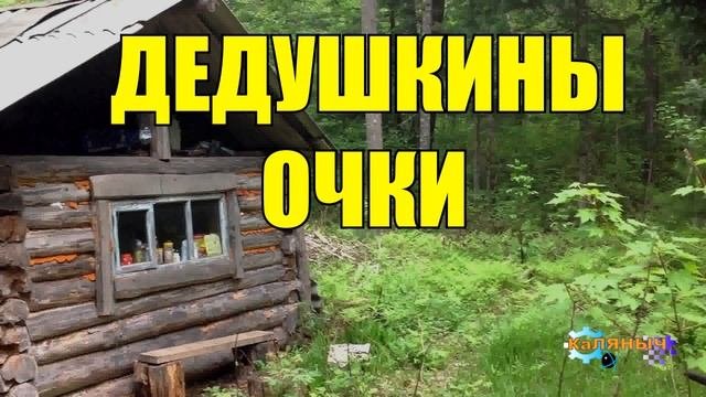 1043 - ДЕДУШКИНЫ ОЧКИ