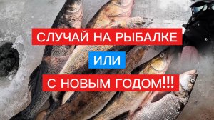 СЛУЧАЙ на РЫБАЛКЕ! САЛЮТ при ЛОВЛЕ ХИЩНИКА на ЖЕРЛИЦЫ!