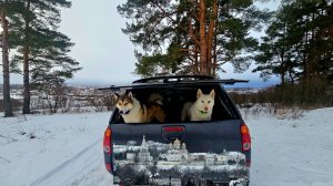 В день рождения на Козьей горе