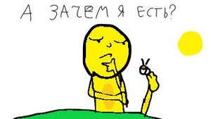 Что будет на моём канале?