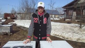 Как сохранить матку с горстью пчел