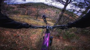 трейл Добрый Жмых (Лучистый/Алушта) / 29.12.24