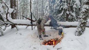 ОДИНОЧНЫЙ ПОХОД В ТАЙГУ. СТАРАЯ ИЗБУШКА СМОЛОКУРОВ. БЕССТРАШНЫЕ ГЛУХАРИ. НЕ ВЗЯЛ ЛЫЖИ И ПОЖАЛЕЛ.