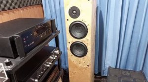 lungyim~NAD M3 Stereo Integrated Amplifier - ProAc Response 3.8 Clone ( 5 )