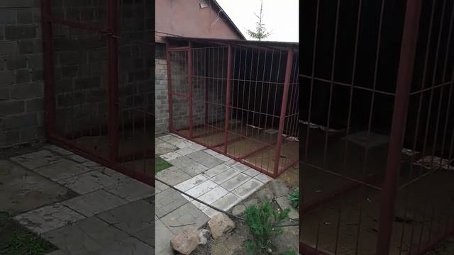 Вольер для собаки. смотреть онлайн