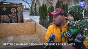 Вертеп с живыми овечками появился в Херсонесе