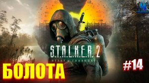 S.T.A.L.K.E.R. 2: Heart of Chornobyl/Обзор/Полное Прохождение #14/Болота