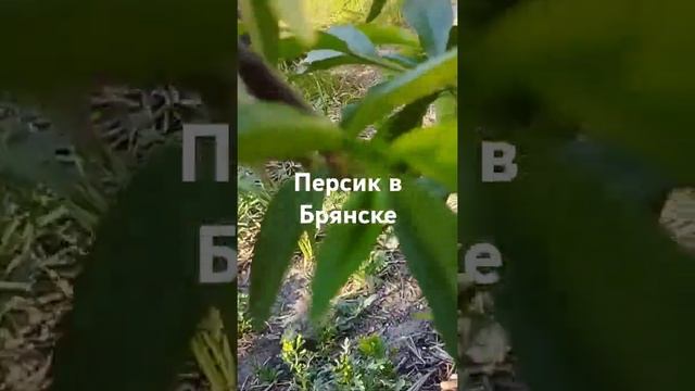 30 мая 2024 г.
