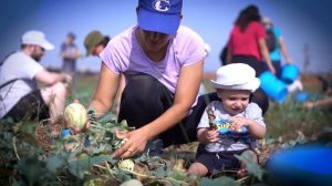 Kippalive & Фонд «Лекет Исраэль» — Мы зажигаем | Kippalive & Leket Israel — We On Fire