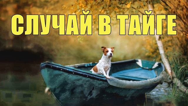 ЗАВИСТНИКИ УКРАЛИ СОБАКУ СОБОЛЯТНИЦУ СЛУЧАЙ В ТАЙГЕ ПУШНОЙ ПРОМЫСЕЛ ДОБЫЧА СОБОЛЯ ОТШЕЛЬНИКИ смотреть онлайн