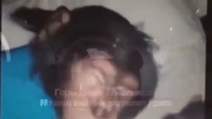 ЕРЖАН ВСТАВАЙ НА РАБОТУ ПОРА|LIL PEEP BENZ TRUCK