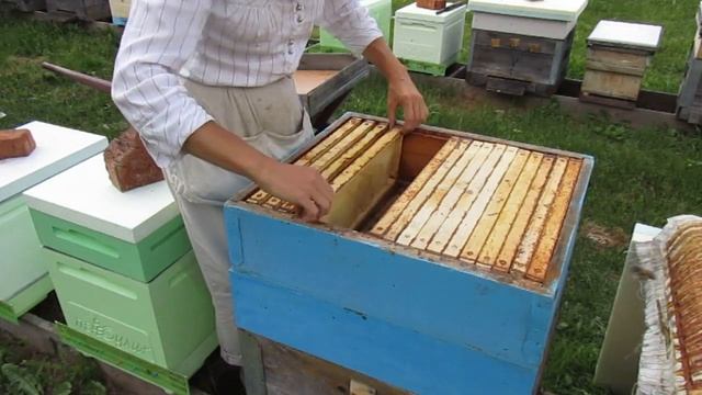 Ставим магазины под мёд (25.07.2022) смотреть онлайн