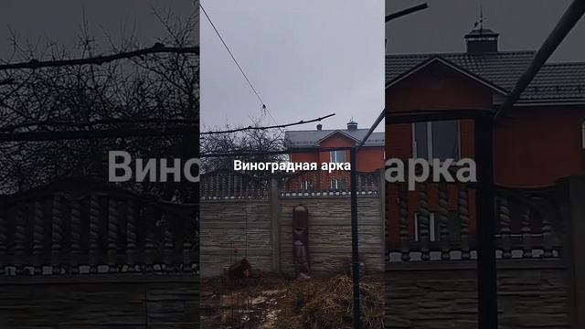 26 марта 2024 г.