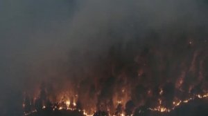 Лесные пожары в России/Forest fires in Russia