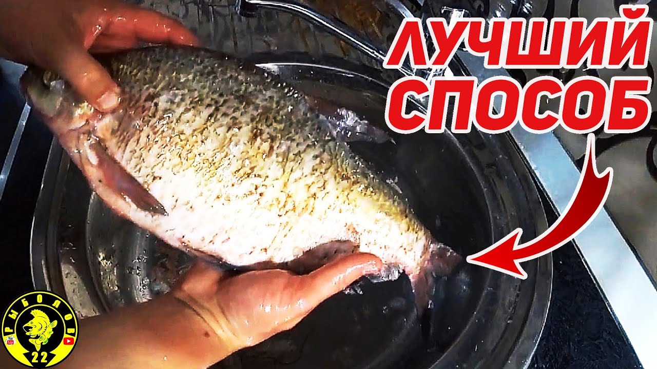 Как быстро почистить рыбу. Лучший способ чистки рыбы.