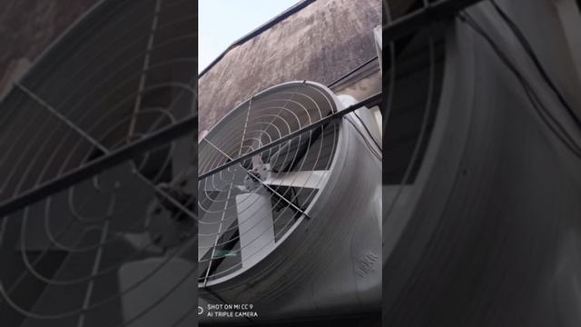 SinoGreen Fiberglass Exhaust Fan