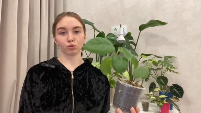 Большой обзор растений от подписчиков 4💚
