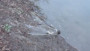 Рыбалка на хапугу 28 12 24