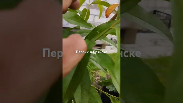 14 июня 2024 г.