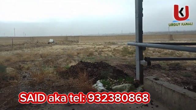 MOL FIRMA SOTILADI 3,5 GEKTAR BARCHA SHAROIT BOR // МОЛ ФИРМА СОТИЛАДИ ШАРОИТЛАРИ БОР #МОЛХОНА