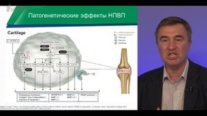 Каратеев А.Е. «Применение целекоксиба при остеоартрите»