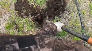 май время находок.архив весна 2024.