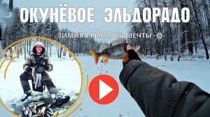 ОКУНЁВОЕ ЭЛЬДОРАДО. ОКУНЬ РАЗМЕРОМ С ЩУКУ.