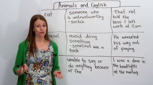 English for Beginners: Animal Vocabulary & Expressions to Describe People