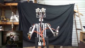 Pasqually Diagnostics Endoskeleton Test - Chuck E Cheese Animatronics