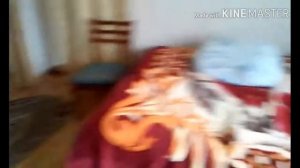 Страшилки для детей : Гробик на колесиках!