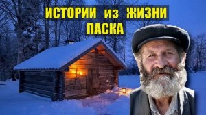 0273 СЛУЧАЙ на ПАСХУ ИСТОРИИ из ЖИЗНИ ЛЕСНИКА ДЕДУШКА ИСТОРИЯ КОРОТКИЕ РАССКАЗЫ ПОДКАСТ ДОМ в ЛЕСУ С