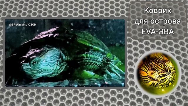 Эва коврик для острова в аквариум для черепахи