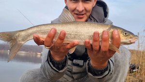 Рыбалка осенью. Ловля краснопёрки(Угай)! Рыбалка в Приморье!