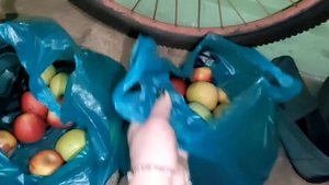 Ейск/Не взяли посылку😭/Заболела/Яблоки по 30руб/Распродаю картины.