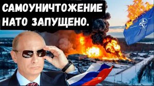 Пытаясь уничтожить Россию и Путина НАТО уничтожает само себя.
