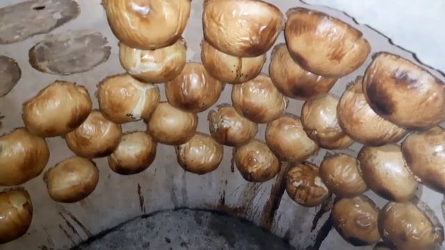 Гатовиса самса тандрни смотреть онлайн