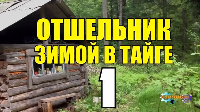 ОТШЕЛЬНИК ЗИМОЙ В ТАЙГЕ ВСЕ СЕРИИ КАБАН и ТИГР ИСТОРИИ из ЖИЗНИ в ЛЕСУ ЖИВОТНЫЕ ЖИЗНЬ В ТАЙГЕ СЕРИАЛ