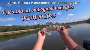 Осенью на рыбалке. День берша на Спиннинг 2023