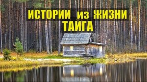 РАССКАЗЫ ЛЕСНИКА ЖИЗНЬ в ДЕРЕВНЕ ИСТОРИИ из ЖИЗНИ ОХОТА и РЫБАЛКА СУДЬБА в ТАЙГЕ ДОМ в ЛЕСУ СЕР