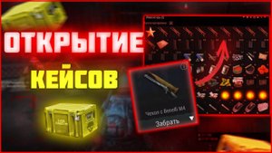 STAY OUT|STALKER ONLINE |Открытие 50 кейсов с Benelli m4|Инфа о клане