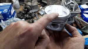 Центрифуга. Поршни днепр 82мм.